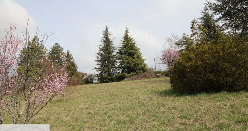vente Terrain constructible La Roche Vineuse