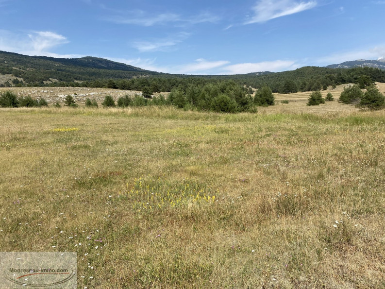 for sale Terrain agricole Greolieres - Photo 3