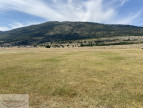 for sale Terrain agricole Greolieres