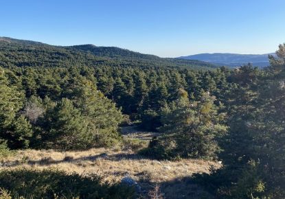 vente Terrain boisé – forêt Greolieres