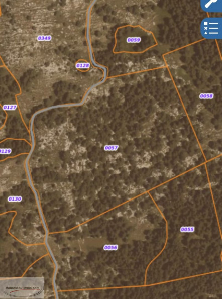 à vendre Terrain boisé – forêt Greolieres - Photo 1