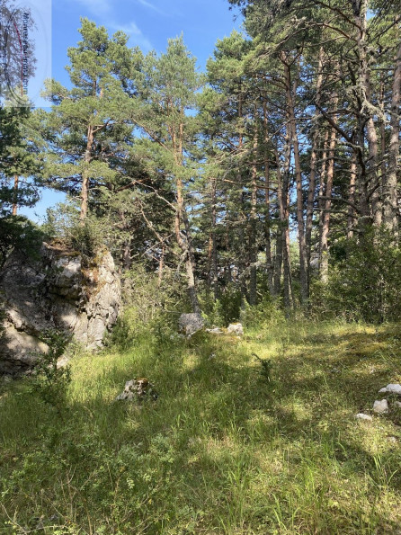 à vendre Terrain boisé – forêt Greolieres - Photo 2