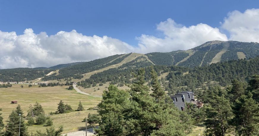 vente Appartement rénové Greolieres