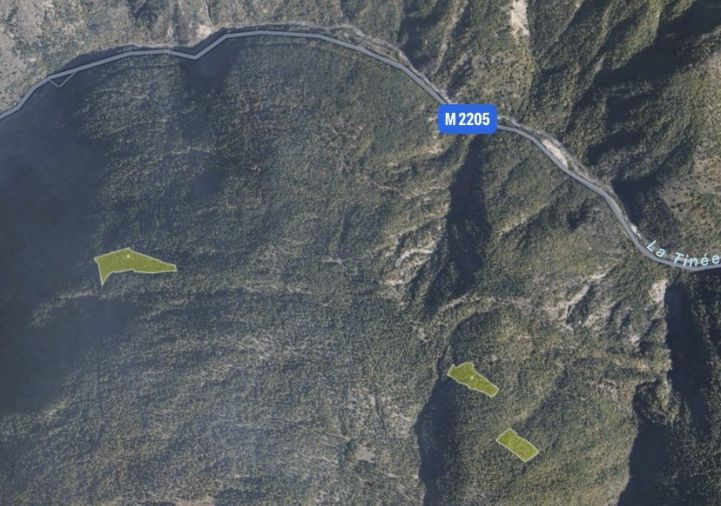 à vendre Terrain boisé – forêt Isola