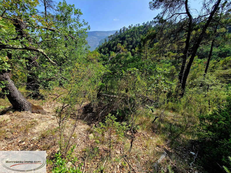for sale Terrain non constructible Toudon - Photo 1