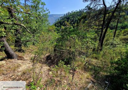 vente Terrain non constructible Toudon