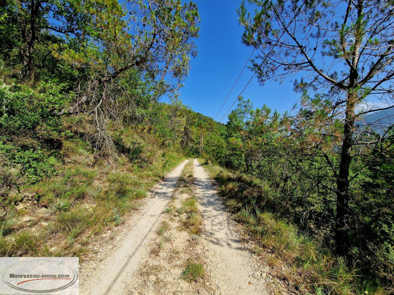 for sale Terrain non constructible Toudon - Photo 10