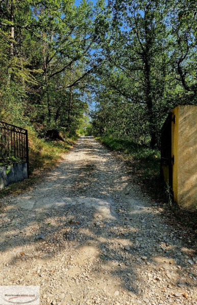 for sale Terrain non constructible Toudon - Photo 3