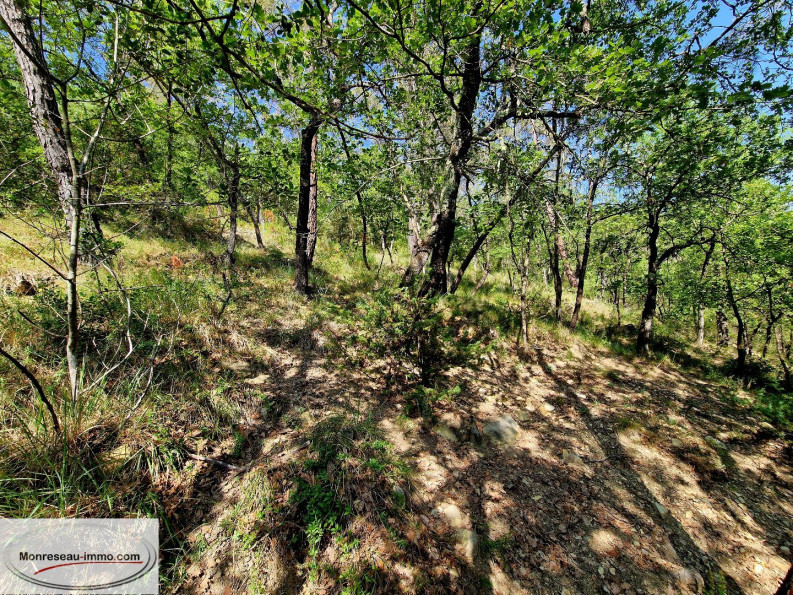 for sale Terrain non constructible Toudon - Photo 5