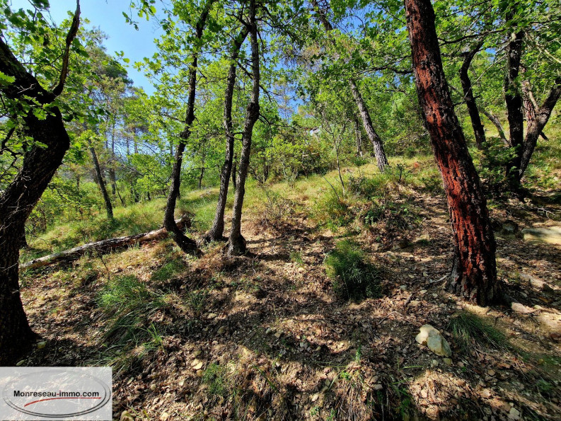 for sale Terrain non constructible Toudon - Photo 6