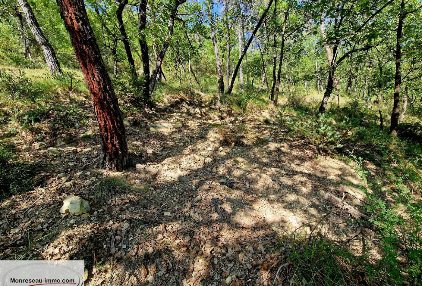 vente Terrain non constructible Toudon - Photo 7