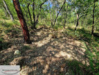for sale Terrain non constructible Toudon