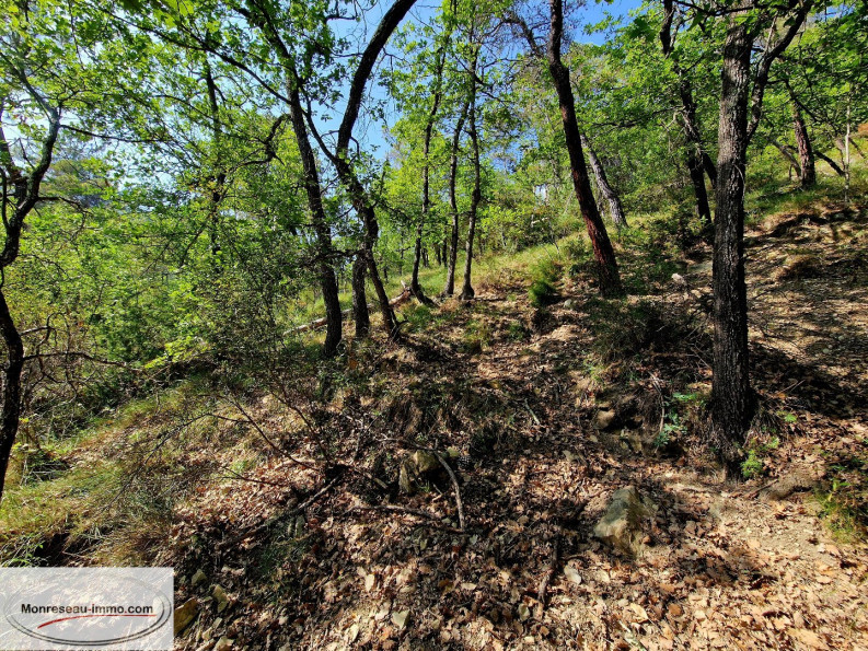 for sale Terrain non constructible Toudon - Photo 8