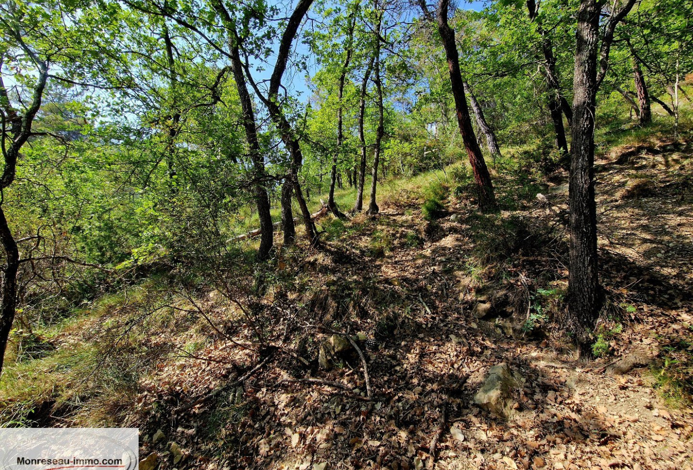 vente Terrain non constructible Toudon - Photo 8