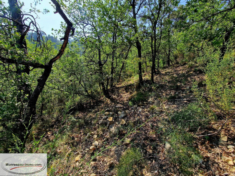 for sale Terrain non constructible Toudon - Photo 9