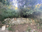 à vendre Terrain boisé – forêt Aspremont