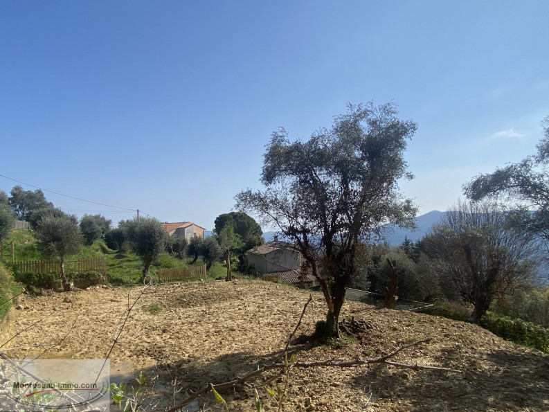 à vendre Terrain constructible Berre Des Alpes - Photo 4