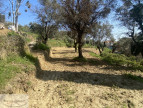 à vendre Terrain constructible Berre Des Alpes