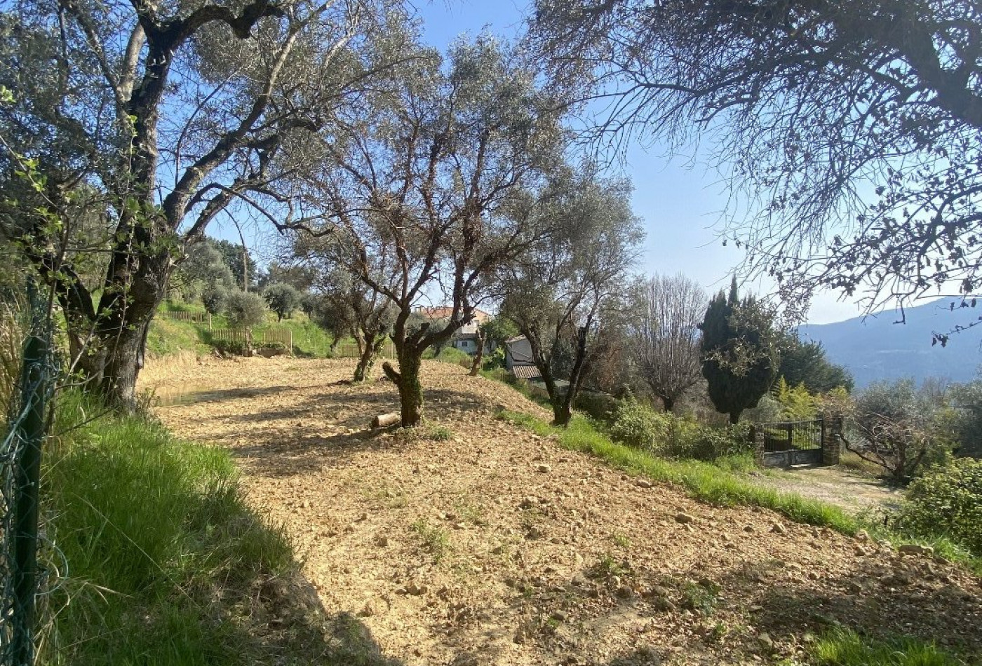 vente Terrain constructible Berre Des Alpes - Photo 5