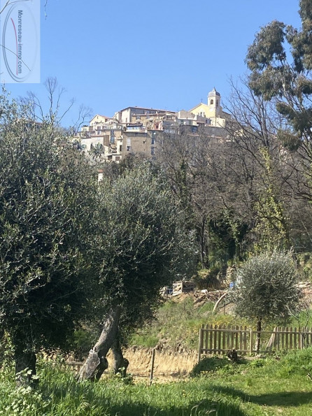 à vendre Terrain constructible Berre Des Alpes - Photo 10