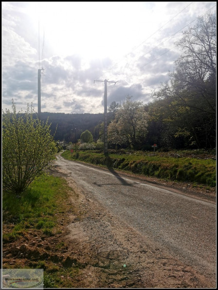 vente Terrain constructible Saint Nabord - Photo 3