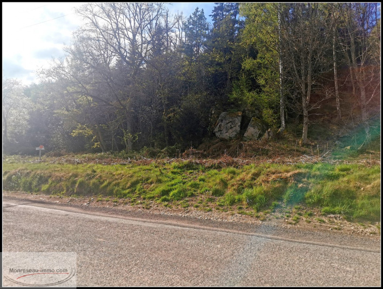 vente Terrain constructible Saint Nabord - Photo 5