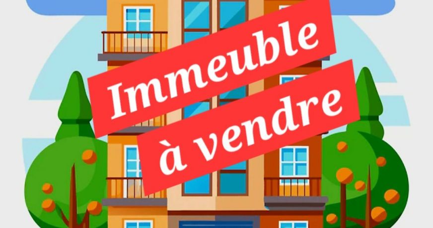 vente Immeuble Macon