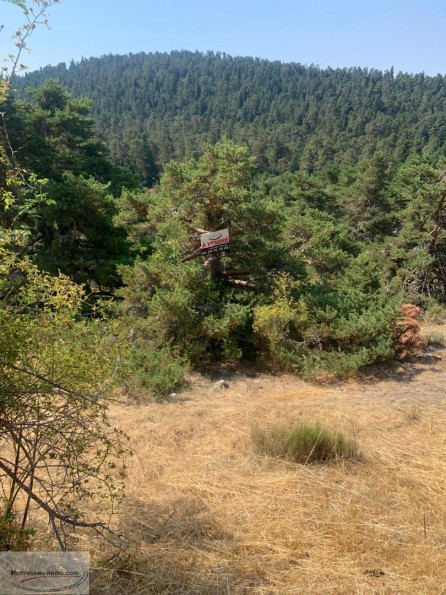 for sale Terrain constructible Caille - Photo 4