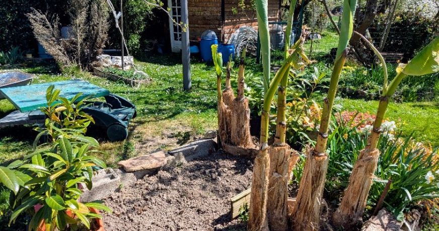 vente Maison Chalon Sur Saone