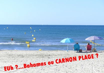 vente Appartement Carnon Plage (mauguio)