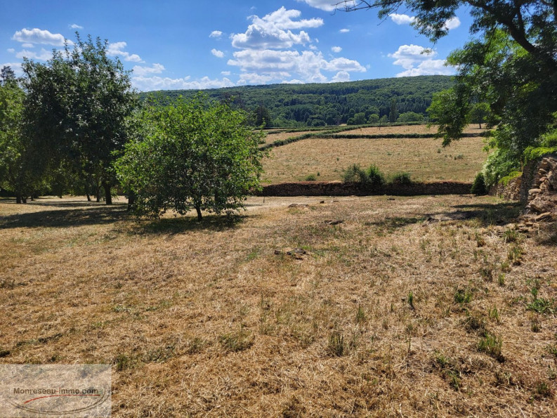 à vendre Propriété Cluny - Photo 3