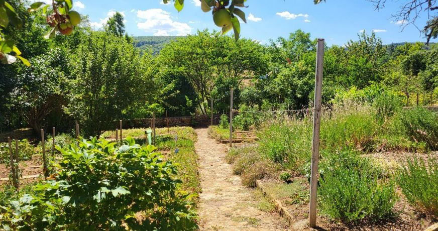 vente Propriété Cluny