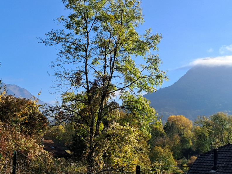 vente Appartement à rénover Faverges - Photo 9