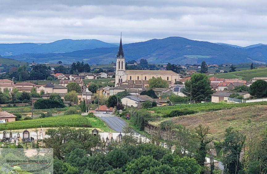 à vendre Terrain viticole Fleurie - Photo 9