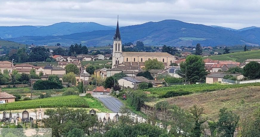 vente Terrain viticole Fleurie