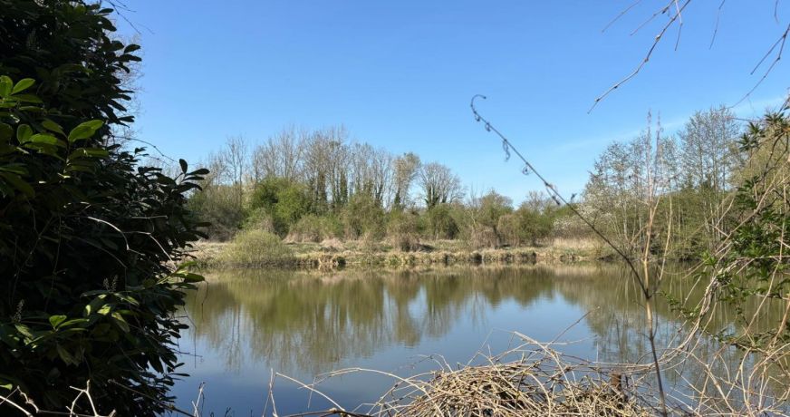vente Terrain boisé – forêt Valenciennes