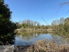 à vendre Terrain boisé – forêt Valenciennes