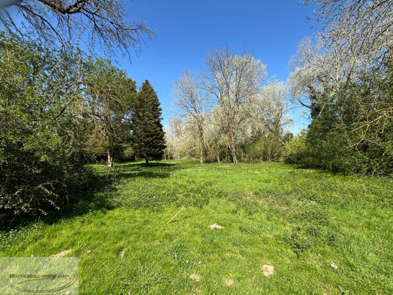 à vendre Terrain boisé – forêt Valenciennes - Photo 3