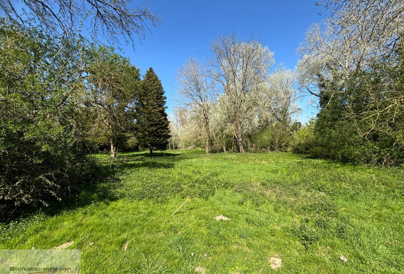 vente Terrain boisé – forêt Lille - Photo 3