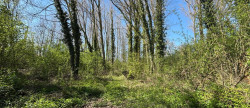 vente Terrain boisé – forêt Lille