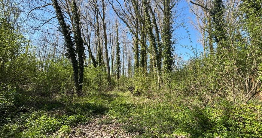 vente Terrain boisé – forêt Valenciennes