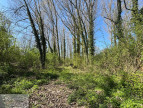 à vendre Terrain boisé – forêt Valenciennes