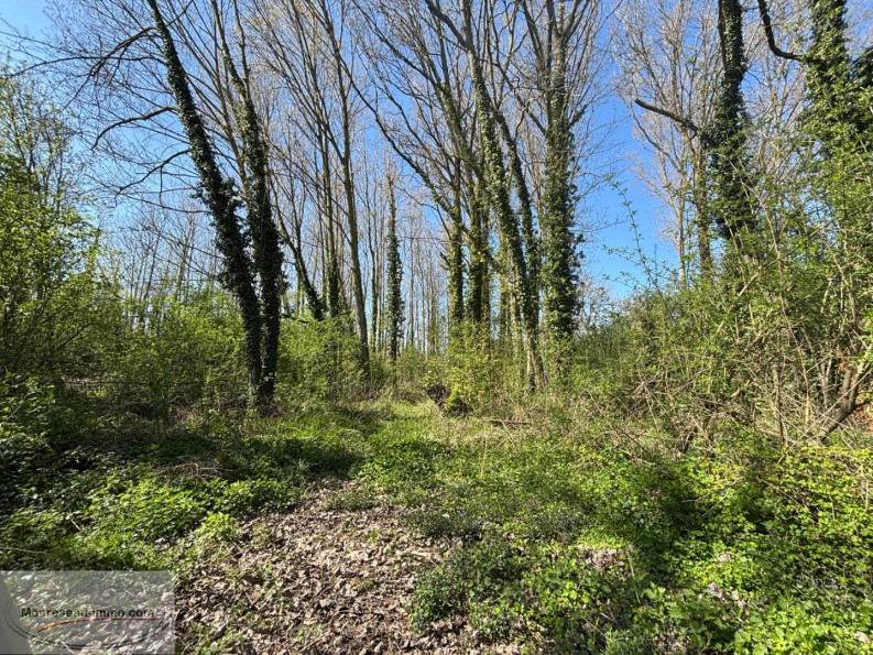 à vendre Terrain boisé – forêt Valenciennes - Photo 5