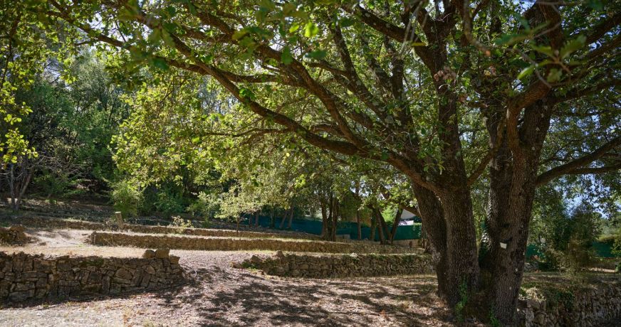vente Maison Valbonne