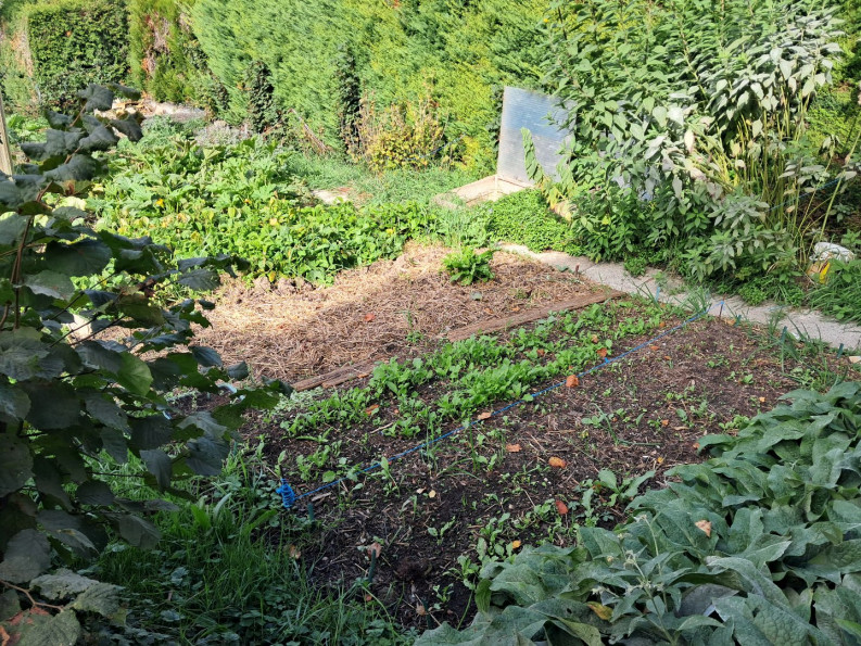 à vendre Chalet Cranves Sales - Photo 9