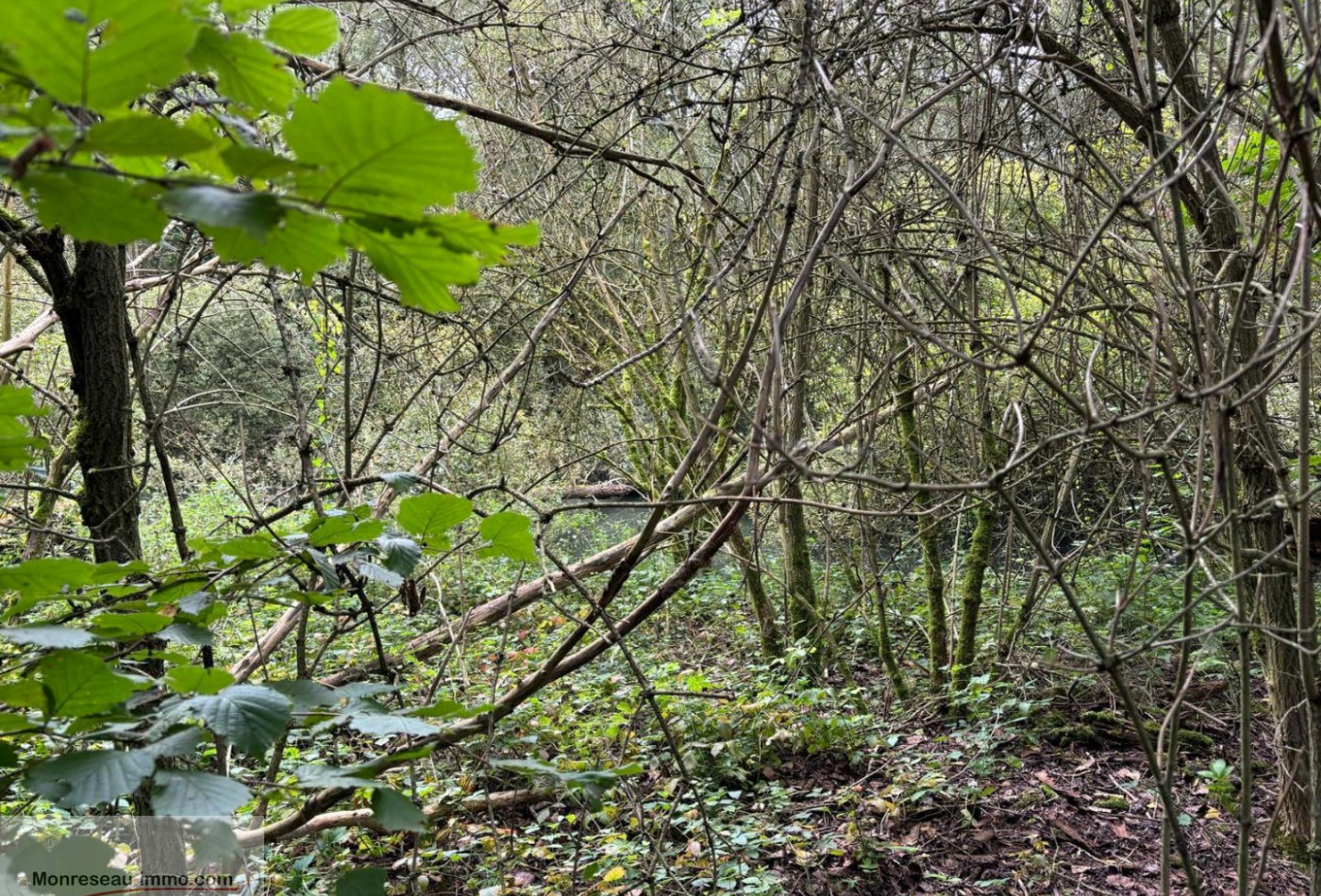 vente Terrain à lotir Peronne - Photo 1