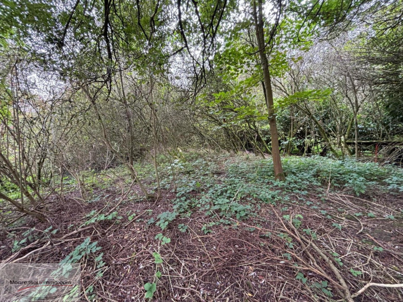 à vendre Terrain à lotir Peronne - Photo 5