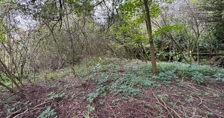 vente Terrain à lotir Peronne