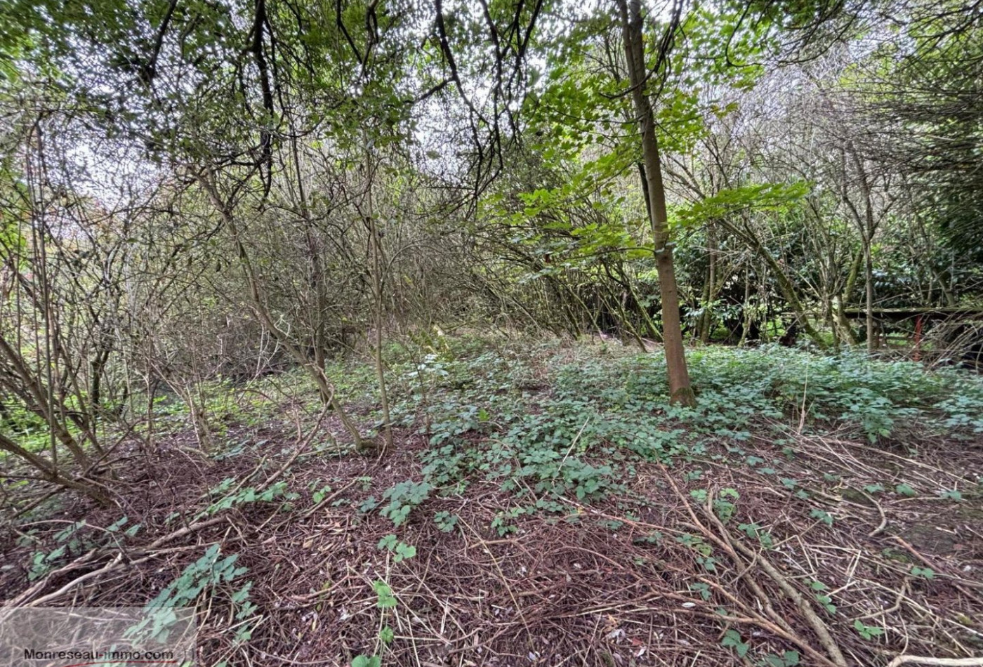 vente Terrain à lotir Peronne - Photo 5