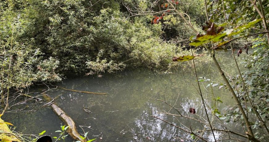 vente Terrain à lotir Peronne